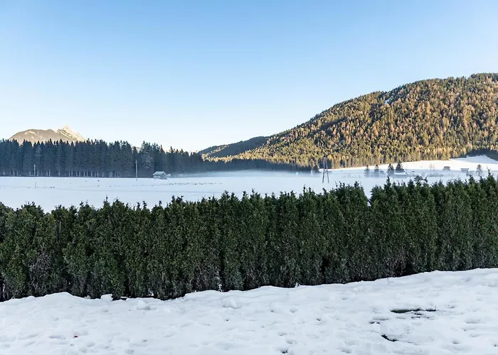 Paula * ロイタシュ